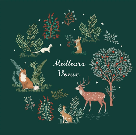 Capture decran 2025 12 26 a 17.02.36